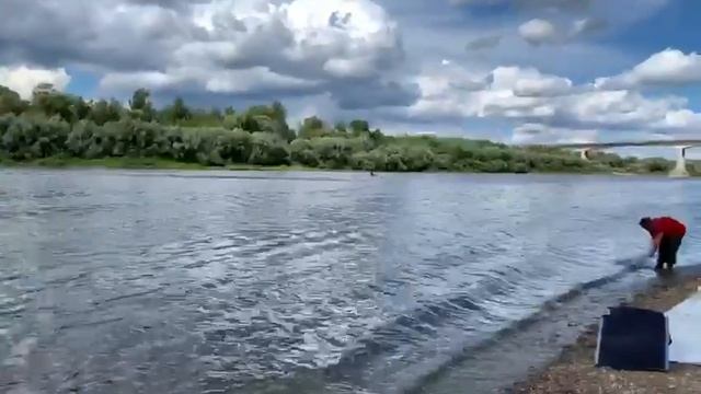 Лодка Днепр и Ямаха 40 смотреть онлайн