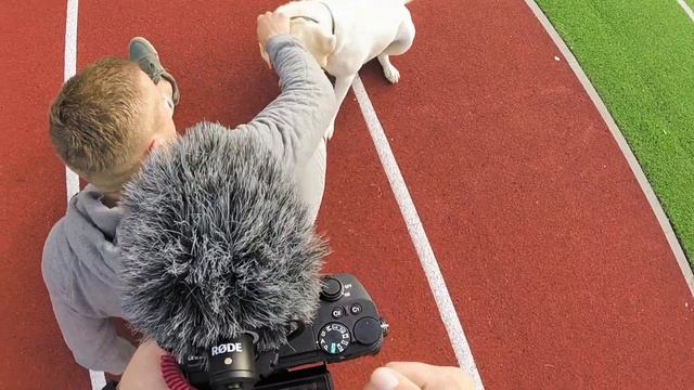 Как Сделать Фото с Собакой в Инстаграм. ФотоVlog #01 смотреть онлайн