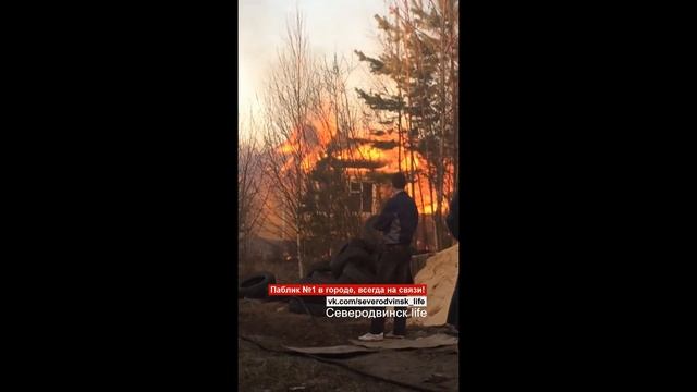 СОТ "Двина", сгорела дача. Северодвинск смотреть онлайн