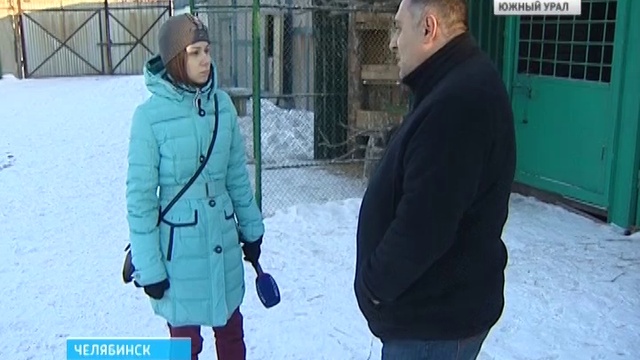 Коркинский контактный зоопарк