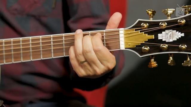 HRR: D'Angelico Tammany XT Orchestra смотреть онлайн