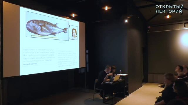 Лекция Паноса Компациариса «Рыба-монстр, родство и уязвимость нечеловеческого» смотреть онлайн