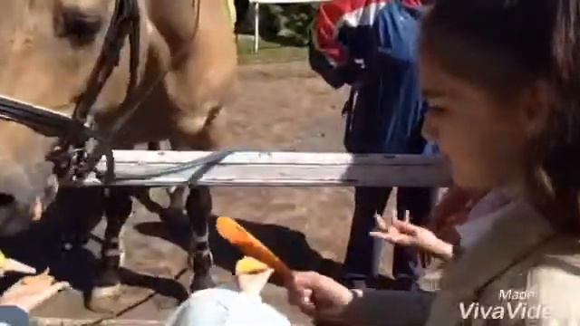 Я кормлю лошадь?🐴/Ипподром/Влог смотреть онлайн