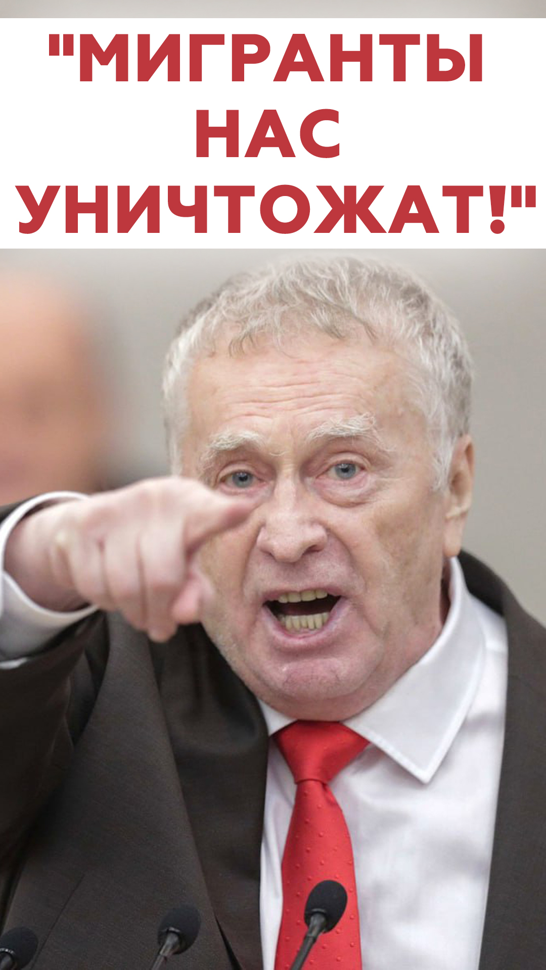 Жириновский: Мигранты нас уничтожат! (2013 год) смотреть онлайн