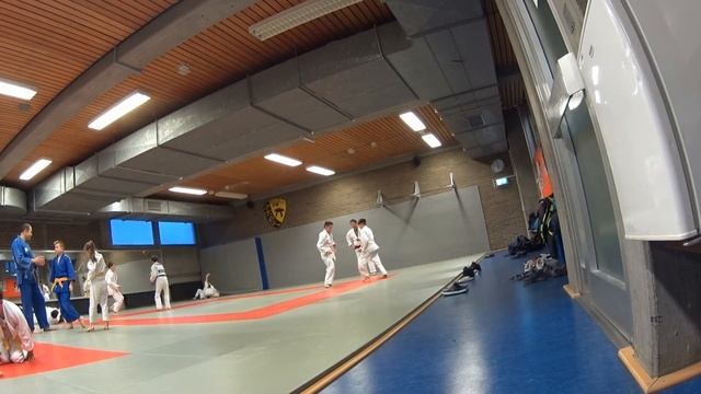 Тренеровка по дзюдо в Германии смотреть онлайн