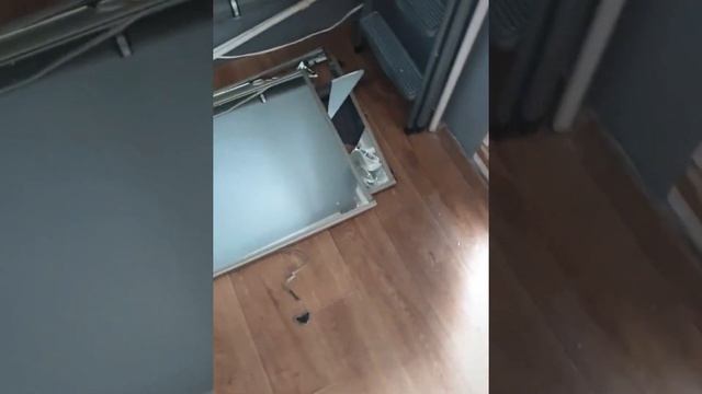 Жить без кошки грустно. смотреть онлайн