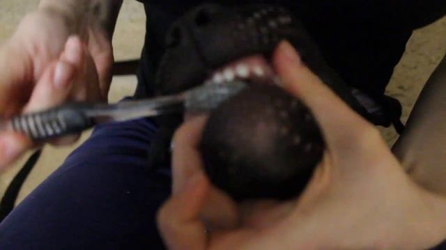 Чистка зубов Питбулю / brushing the pitbull teeth смотреть онлайн