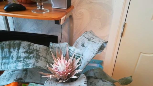 Моя снегурка подарила всем суперские подарки 🌲💖❄️🐽🌱🌺 смотреть онлайн