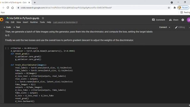 Implementation on Fake Iris Image Generation using GAN in PyTorch Python|+91-9872993883 for query смотреть онлайн