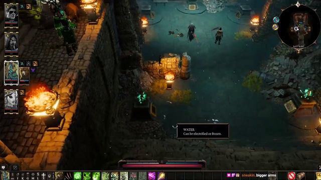 Plant RP | DIVINITY ORIGINAL SIN 2 | !mods смотреть онлайн