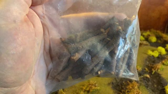 Swampland Terrain Guide / For DND, War Gaming And Tabletop Games