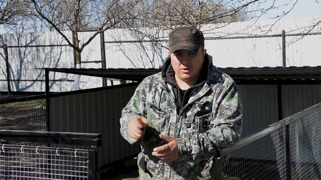 БРУДЕР ДЛЯ БРОЙЛЕРОВ своими руками__ антибиотики, витамины для цыплят бройлера смотреть онлайн