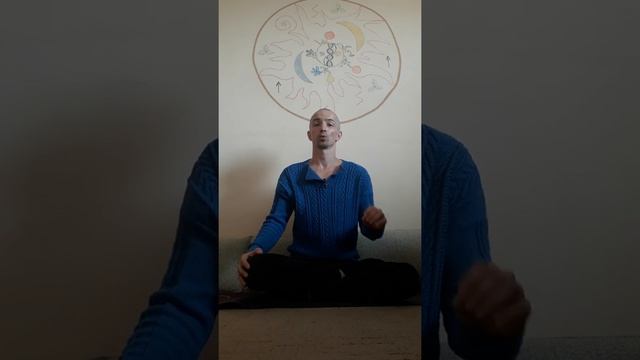 Мобильное приложение для Природноориентированной психотерапии [English Subtitles] смотреть онлайн