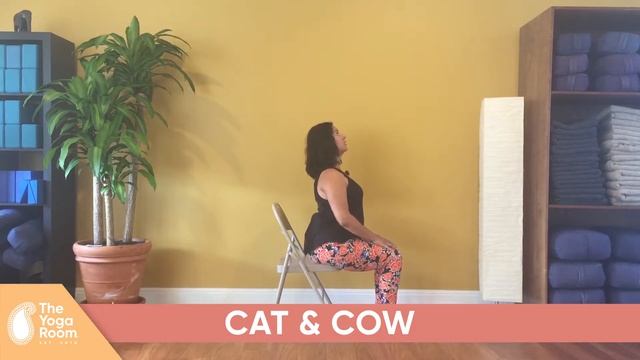 Chair Yoga: How to do Cat & Cow Poses смотреть онлайн