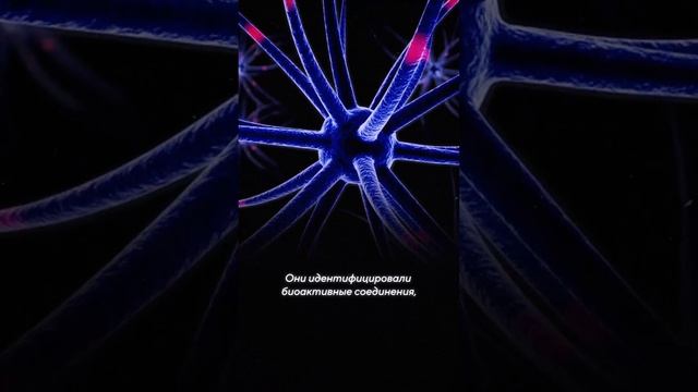 Какой гриб может улучшить память? смотреть онлайн