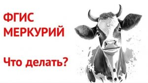 ФГИС Меркурий регистрация