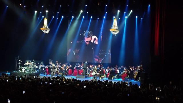 Глеб Самойлов - Дорога паука