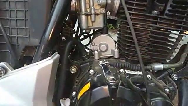 Stels Flex 250 с Ижевским карбюратором смотреть онлайн