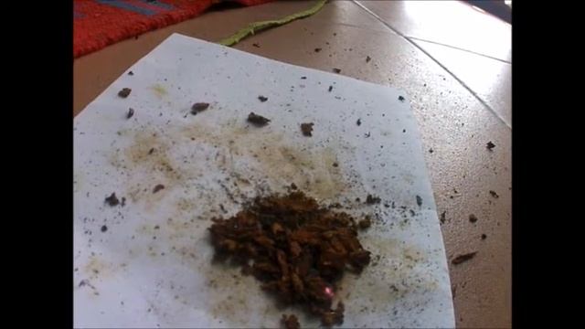 Accensione di un fuoco con acciarino e fungo dell' esca (Fomes fomentarius) смотреть онлайн