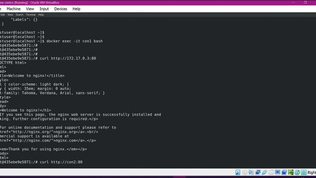 Container communication in docker standalone bridge network смотреть онлайн