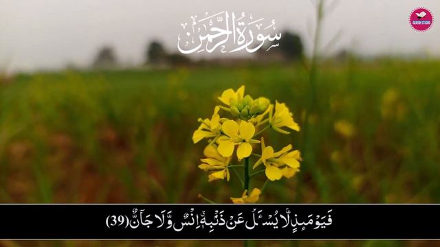 Surah Rahman Quran Recitation Beautiful Voice | سورۃ رحمن | Quran Studio Ep 0060 смотреть онлайн