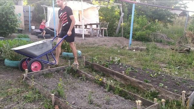 ДЕЛАЕМ ГРЯДКИ ПОД КЛУБНИКУ. ВЫКАПЫВАЕМ ЛИЛИИ. ДОМ В ДЕРЕВНЕ смотреть онлайн