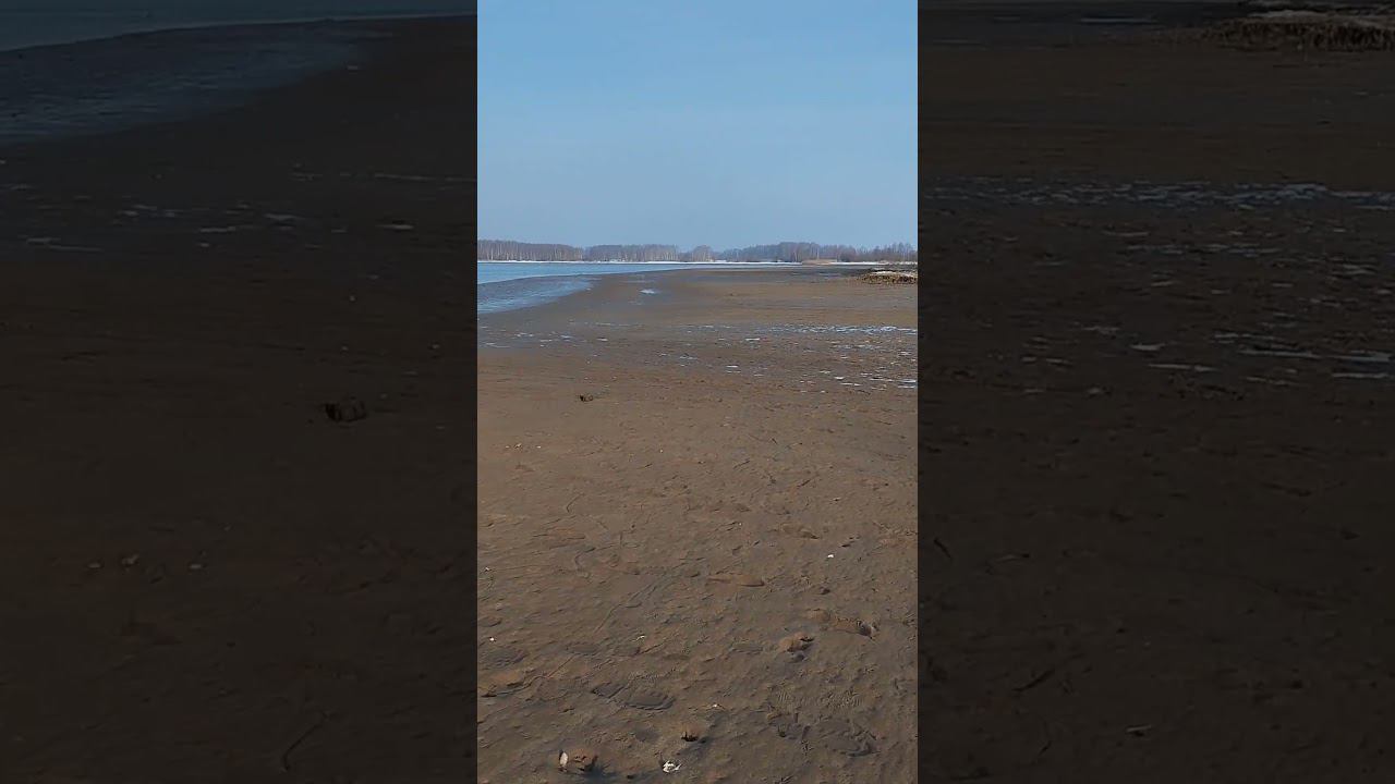 Рыбалка на спиннинг весной.Скинули воду на метр перед половодьем. #рыбалка #fishing #shortvideo смотреть онлайн