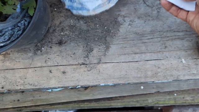 Распаковка заказа.Хосты с интернет магазина. РАЗОЧАРОВАНИЕ. смотреть онлайн