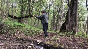 Магические пассы шаманов Древней Мексики