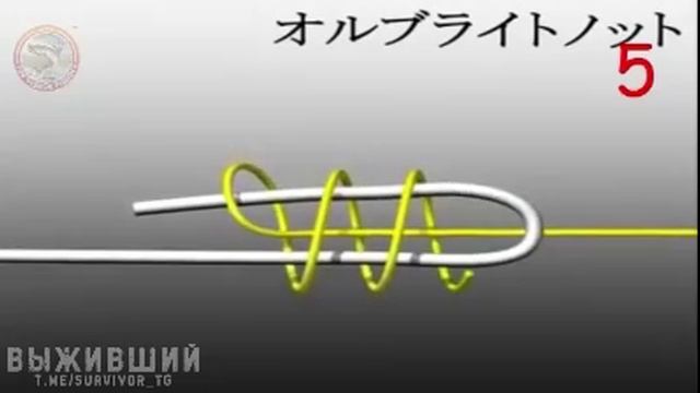 VID_20231211_155233_852.mp4