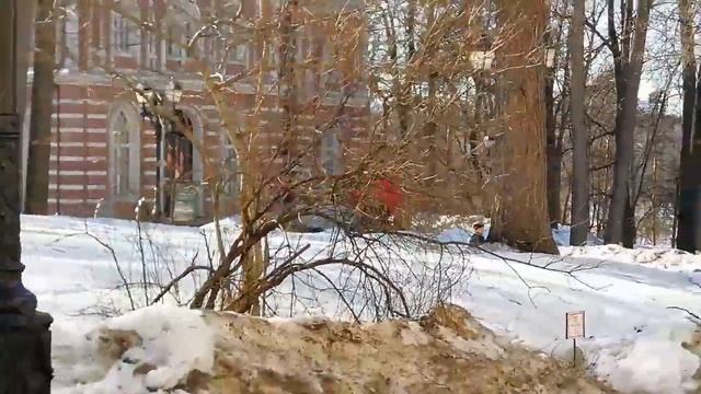 Экскурсия по парку Царицыно!! смотреть онлайн