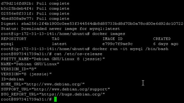 How to Setup a Docker Lab in AWS? Setp By Step [AskJoyB] смотреть онлайн