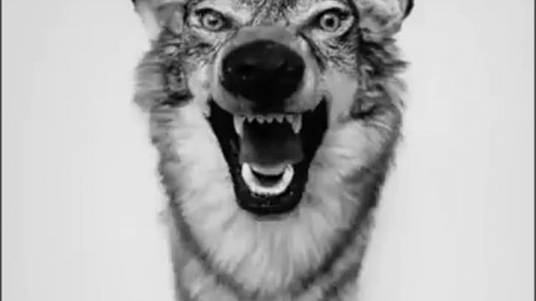 yelawolf - heartbreak