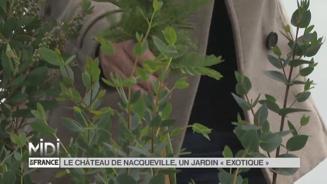 VU D'ICI : Le château de Nacqueville, un jardin exotique смотреть онлайн