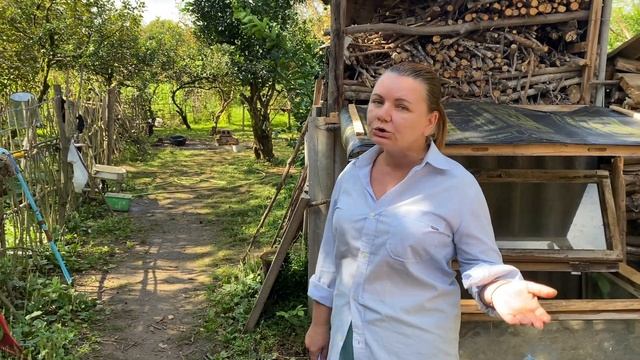 Выращиваем птиц в Грузии | Курица, Цесарка, Утки смотреть онлайн