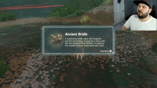 How to Get the Ancient Horse Armor in Breath of the Wild, The Champions Ballad | Austin John Plays смотреть онлайн