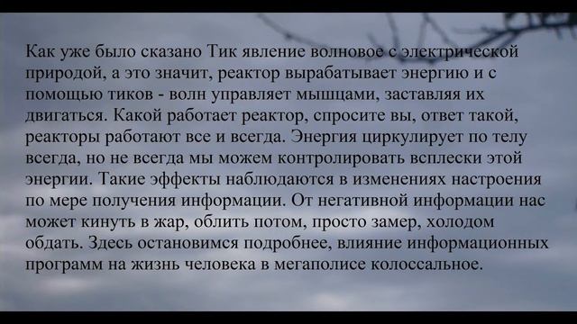Управление программой смотреть онлайн