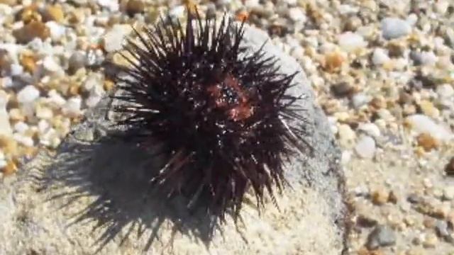 Греция. смотреть онлайн