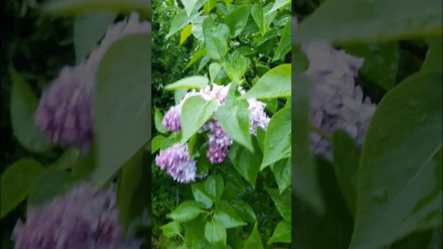 Надежда смотреть онлайн