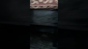 Спальник на Зубренке #МАЗ4370 #МАЗЗУБРЕНОК