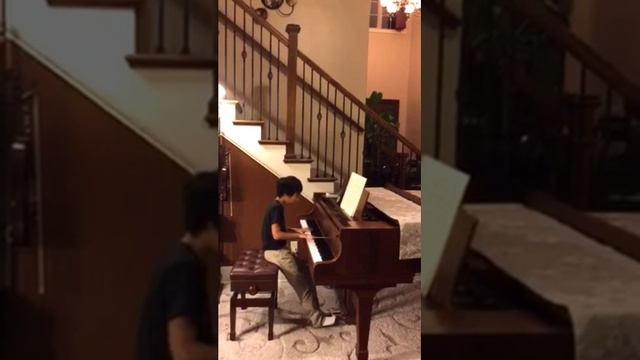 Chopin Mazurka Op.68 - 2 a moll マズルカ イ短調 (10) смотреть онлайн