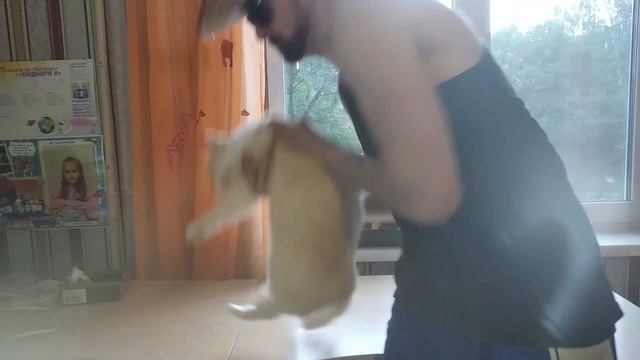 Ситуации недопонимания в разговоре по телефону