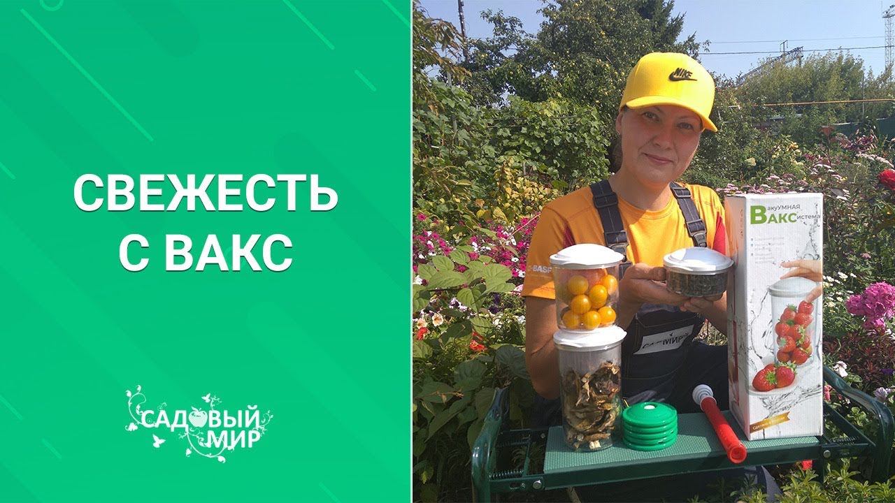 Сохраним вкус лета! Новая вакуумная система для хранения. смотреть онлайн