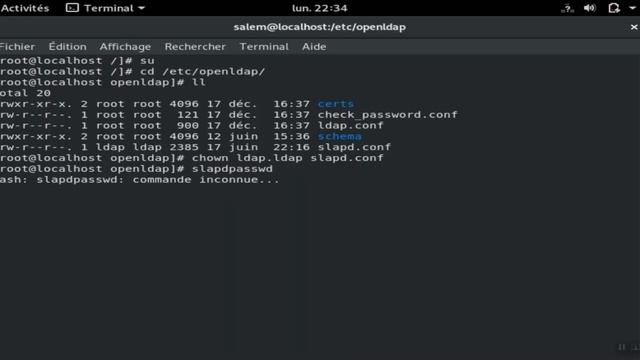 Serveur LDAP sous Linux (Installation & Configuration) смотреть онлайн