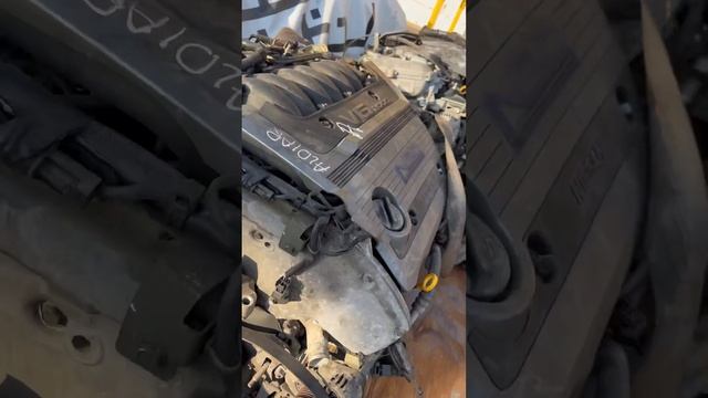 Двигатель VQ20. Nissan maxima A33. ДВС из Эмиратов. ALDI MART смотреть онлайн