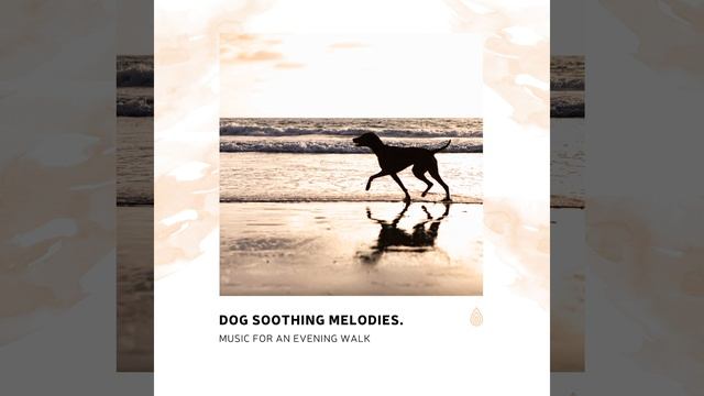 Mellow Groovy Mindfulness смотреть онлайн