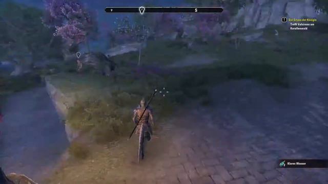 The Elder Scrolls Online #006 Der Korallenwald [german / deutsch / gameplay] смотреть онлайн