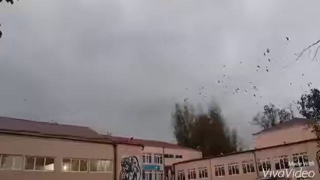 Сулейманова Диана смотреть онлайн