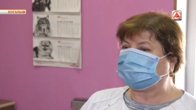 Чипирование собак смотреть онлайн