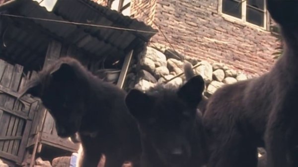 Баста ft. Леся Верба - Сон